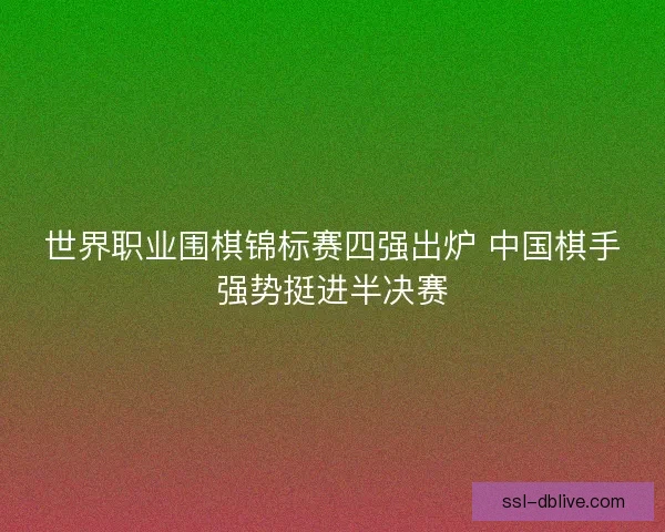 世界职业围棋锦标赛四强出炉 中国棋手强势挺进半决赛