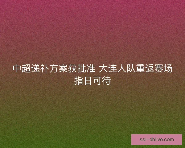 中超递补方案获批准 大连人队重返赛场指日可待